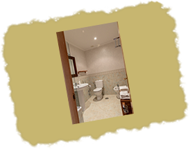 Baño de la primera plata.